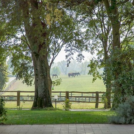 Tenuta Mariano Noceto Exteriör bild