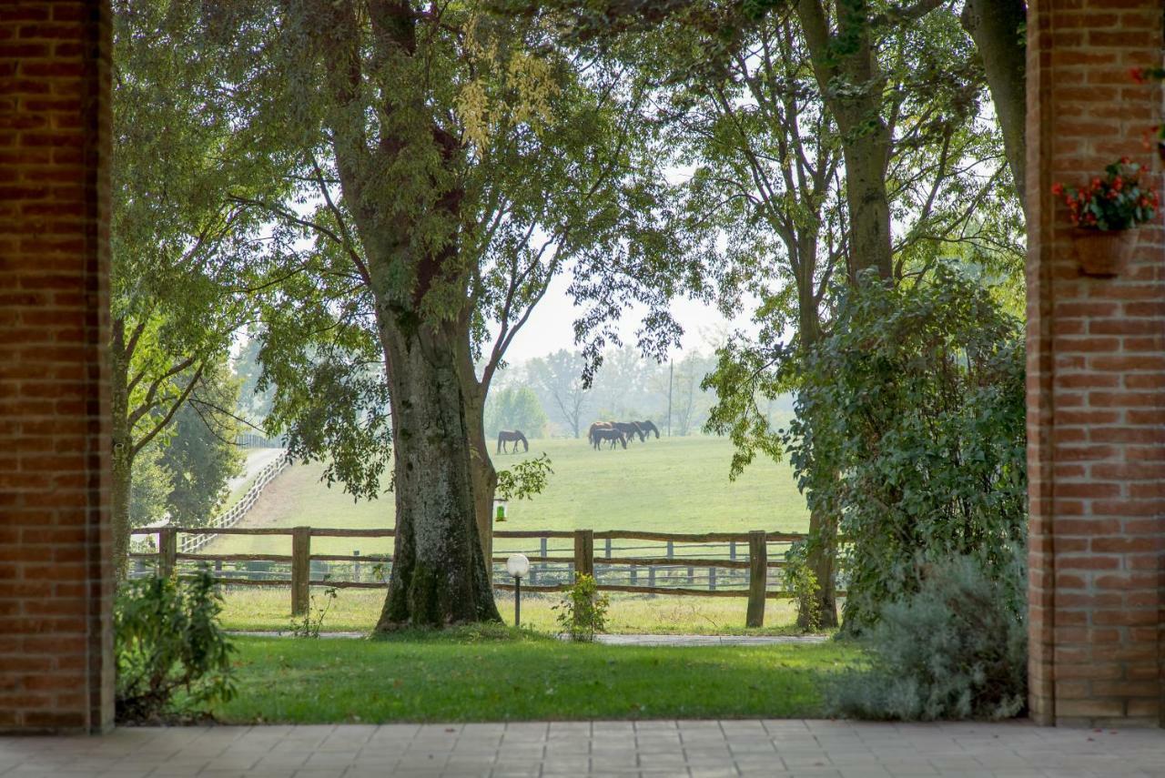 Tenuta Mariano Noceto Exteriör bild